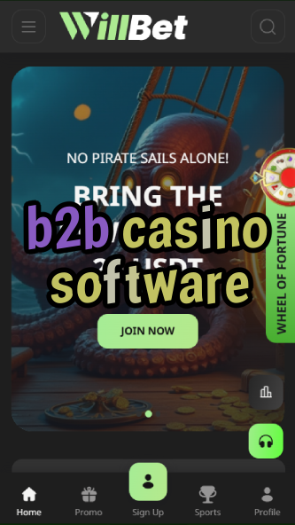 b2b casino software-asdasdzhjkds.com